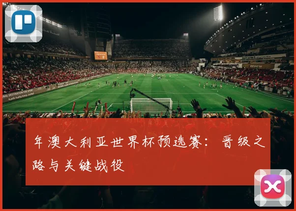 年澳大利亚世界杯预选赛：晋级之路与关键战役