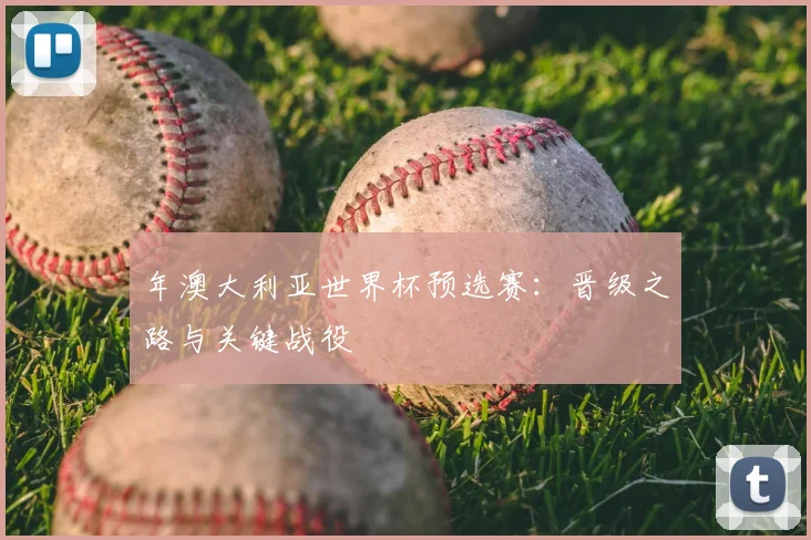 年澳大利亚世界杯预选赛：晋级之路与关键战役