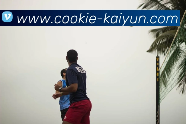 App Interface Preview